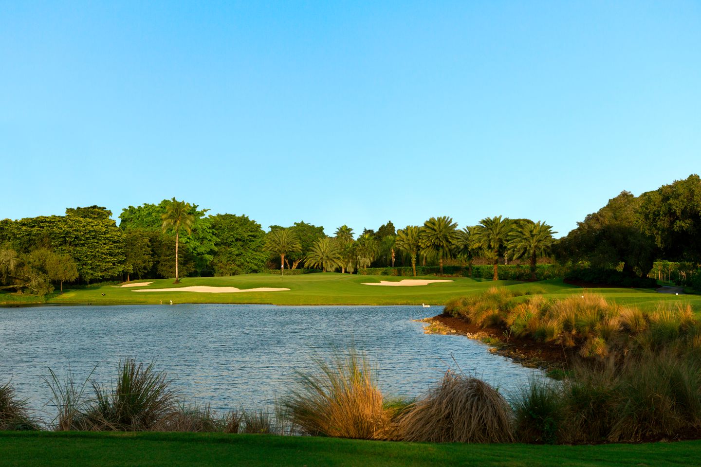 Trump National Doral – Silver Fox