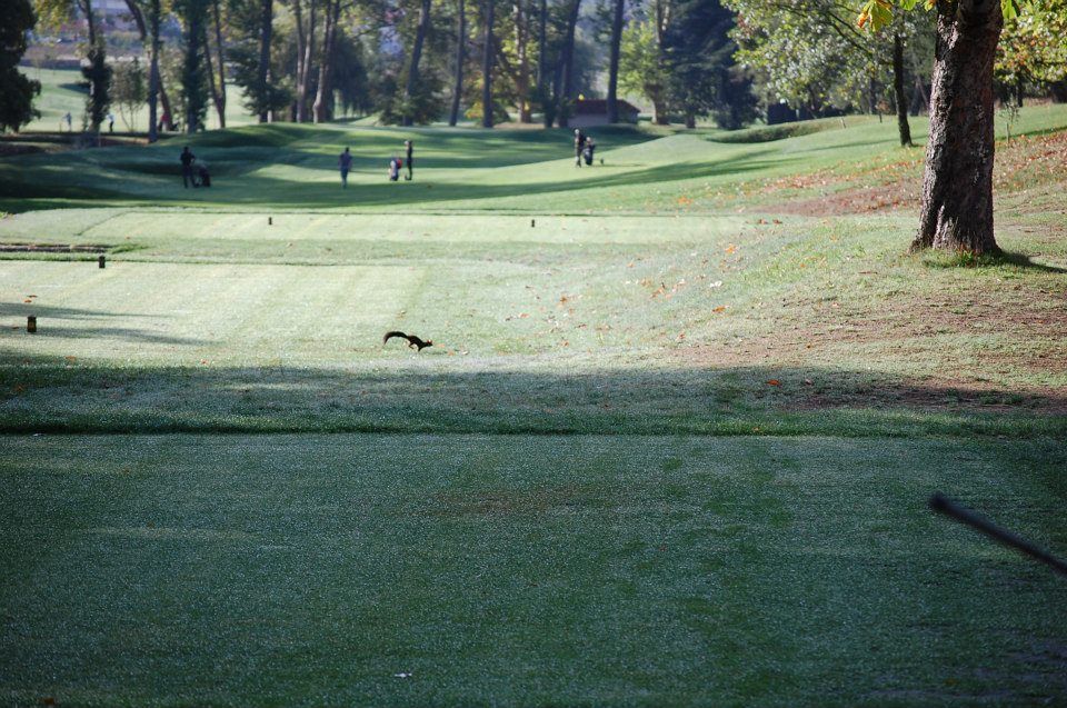 Vidago Palace Hotel Golf & SPA