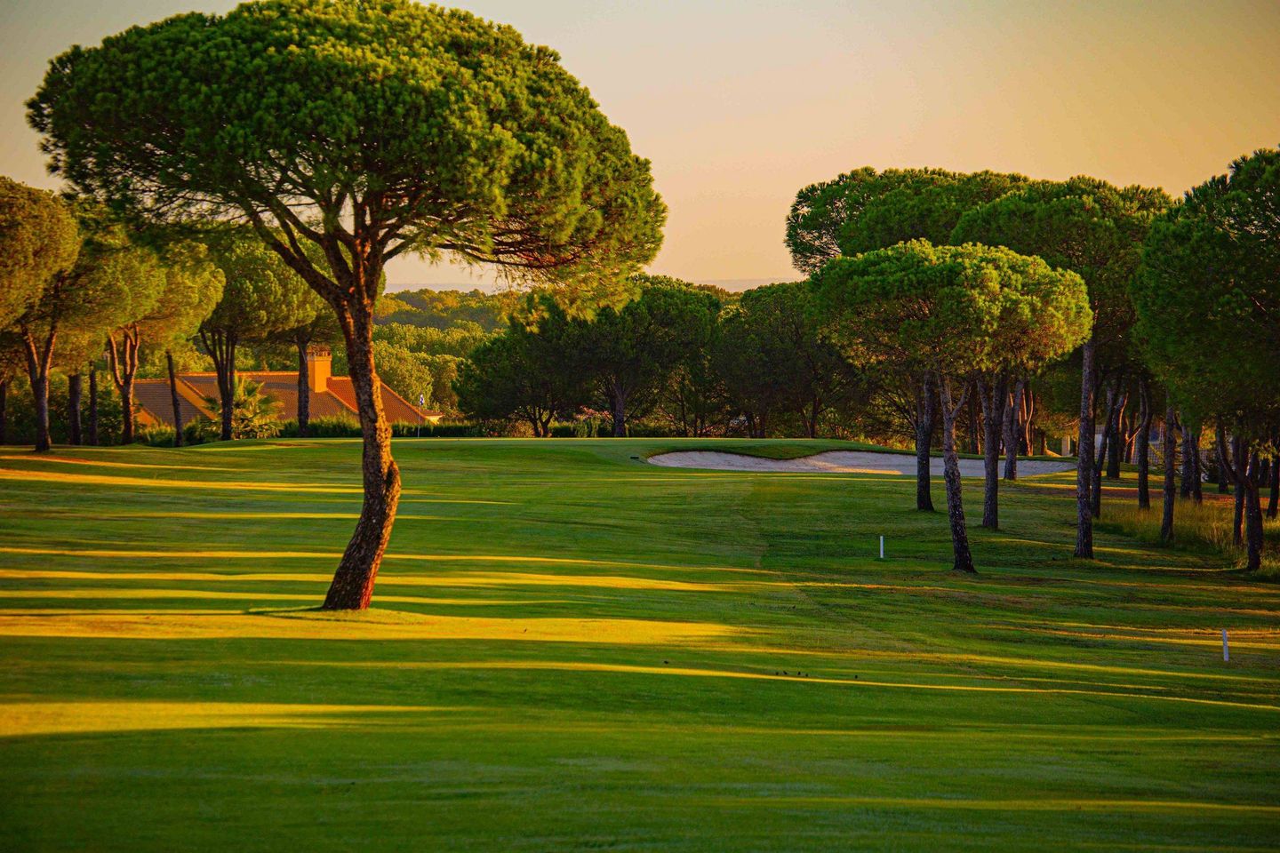 Club de Golf Bellavista