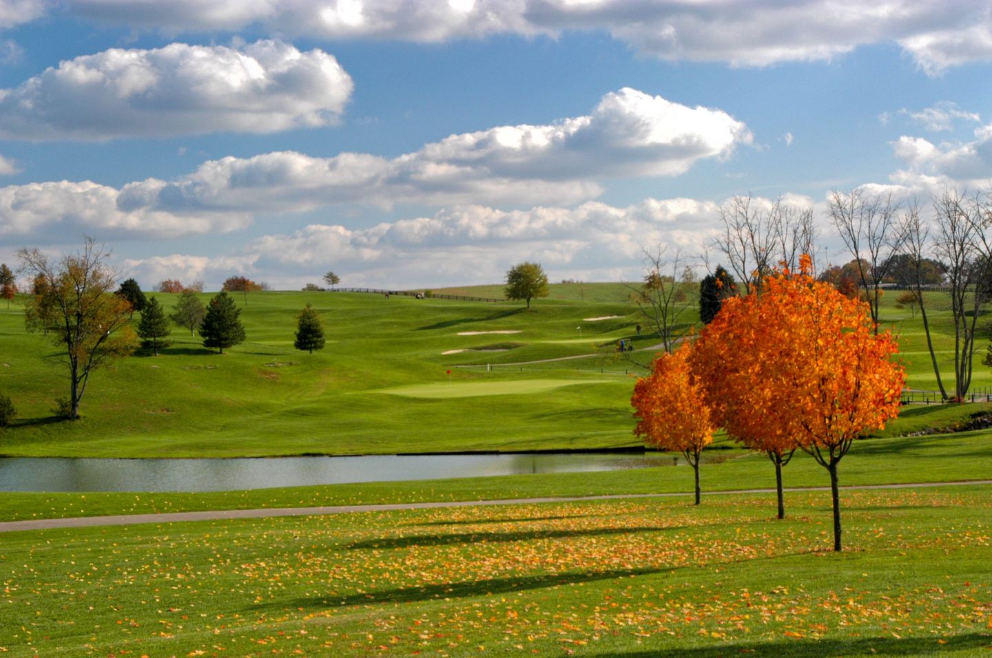 Gibson Bay Golf Club