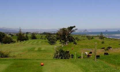 Taranaki