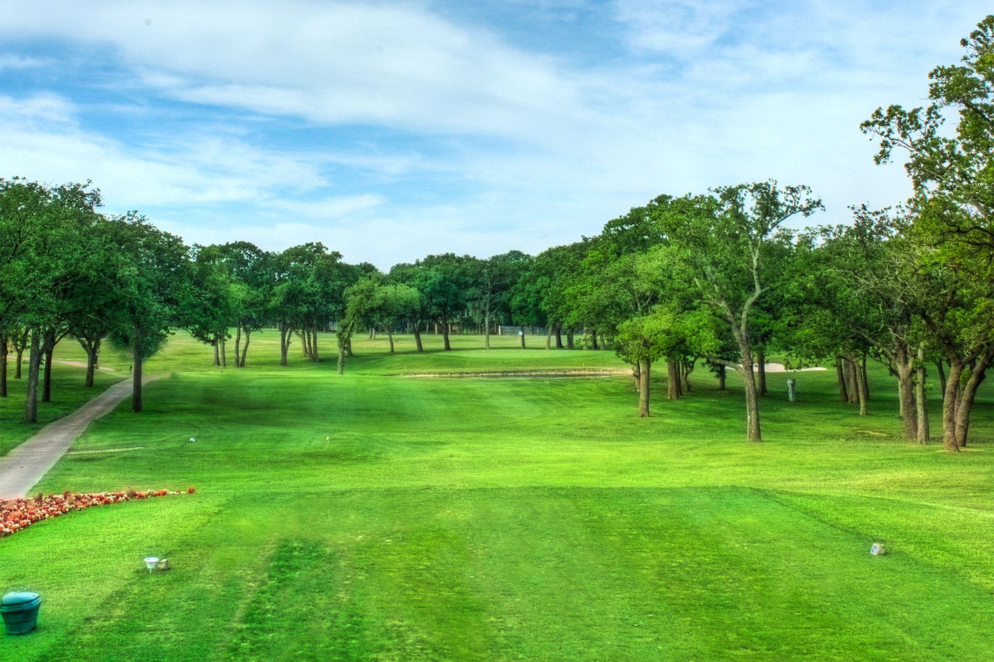 Fairway view with lush green grass and trees
