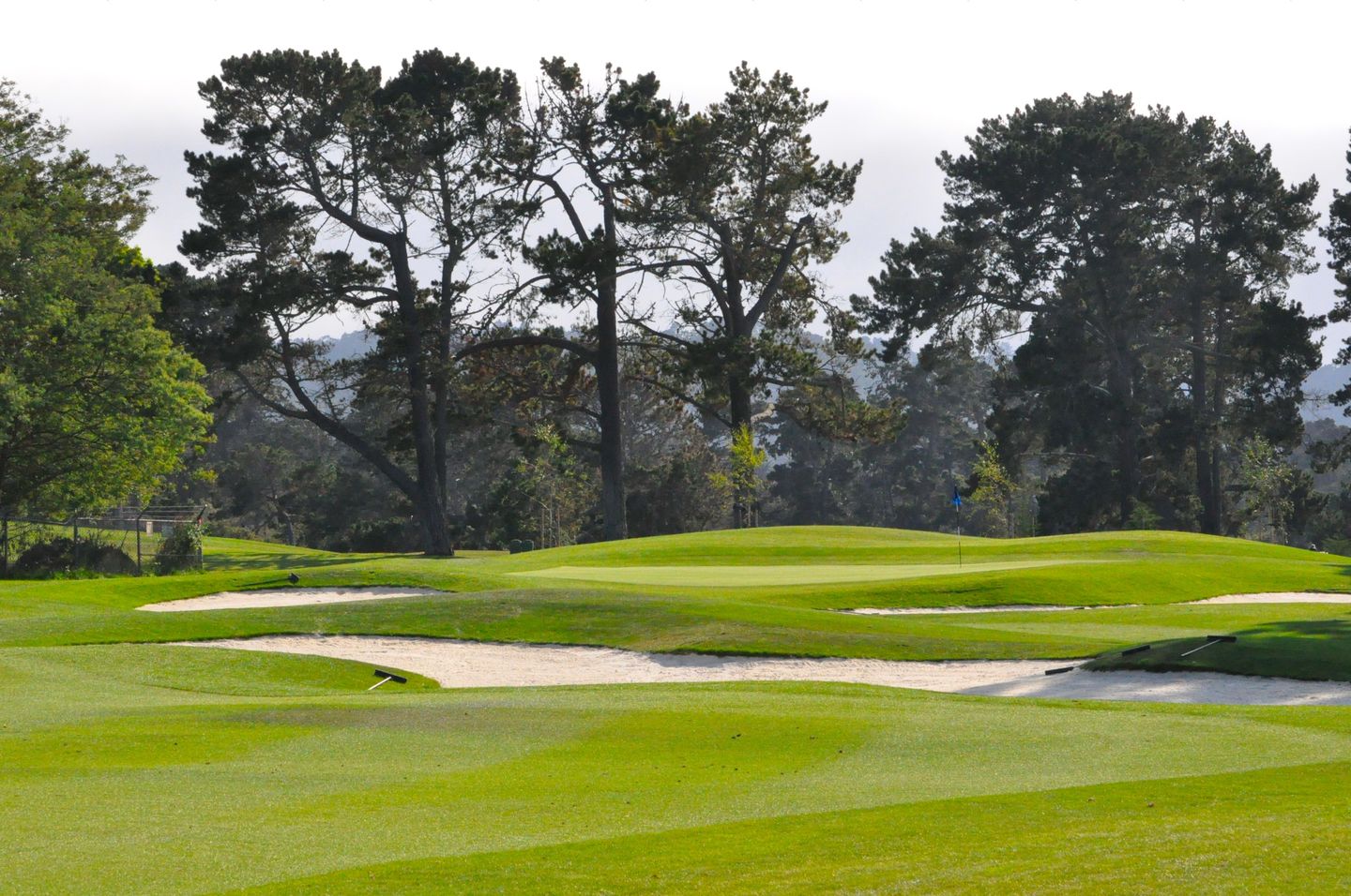 Monterey Pines Golf Club